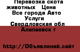 Перевозка скота животных › Цена ­ 39 - Все города Авто » Услуги   . Свердловская обл.,Алапаевск г.